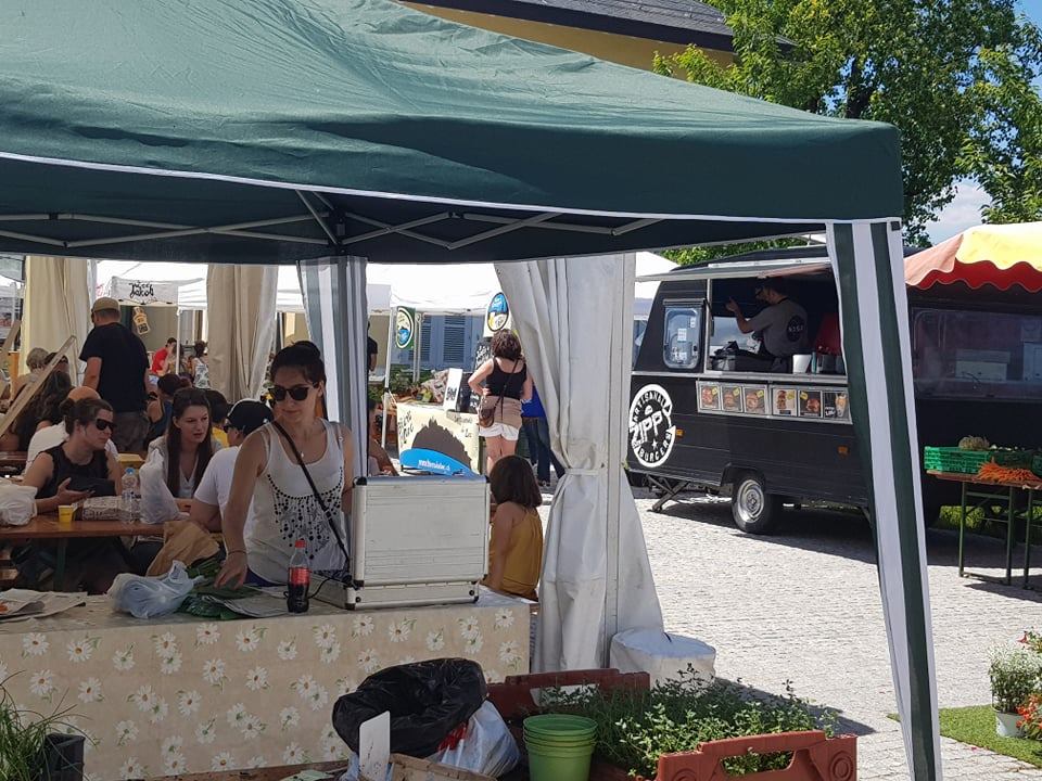 61930767_598063507367779_184815711216992256_n